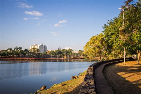 do rio preto são paulo.